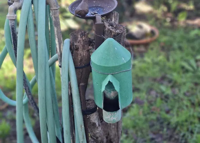 Ferienhaus Hinojales