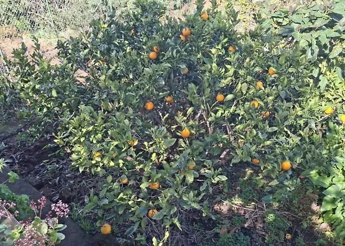 Ferienhaus Hinojales Los Silos