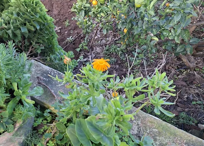 Ferienhaus Hinojales